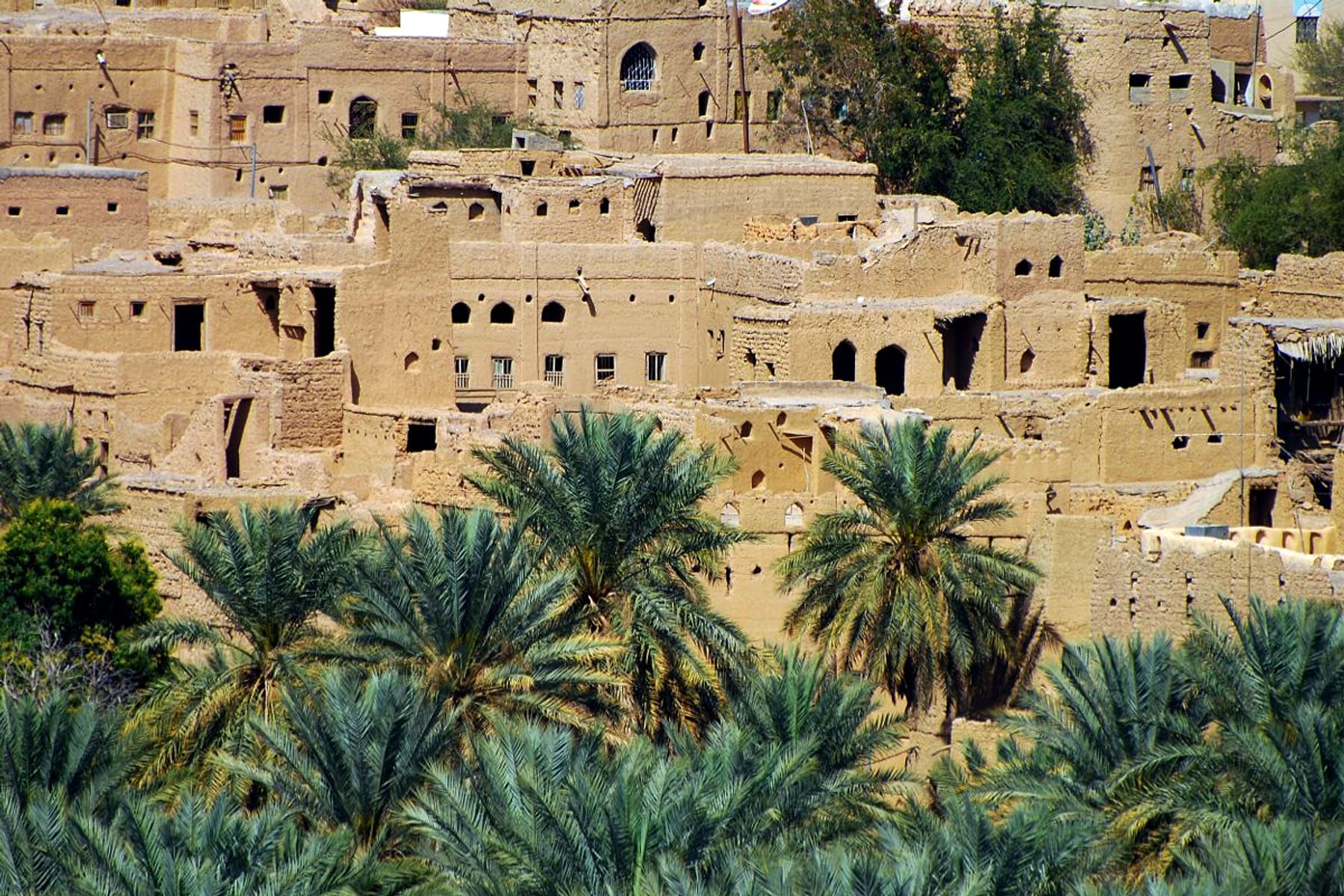Earthen village of Al Hamra with date palms