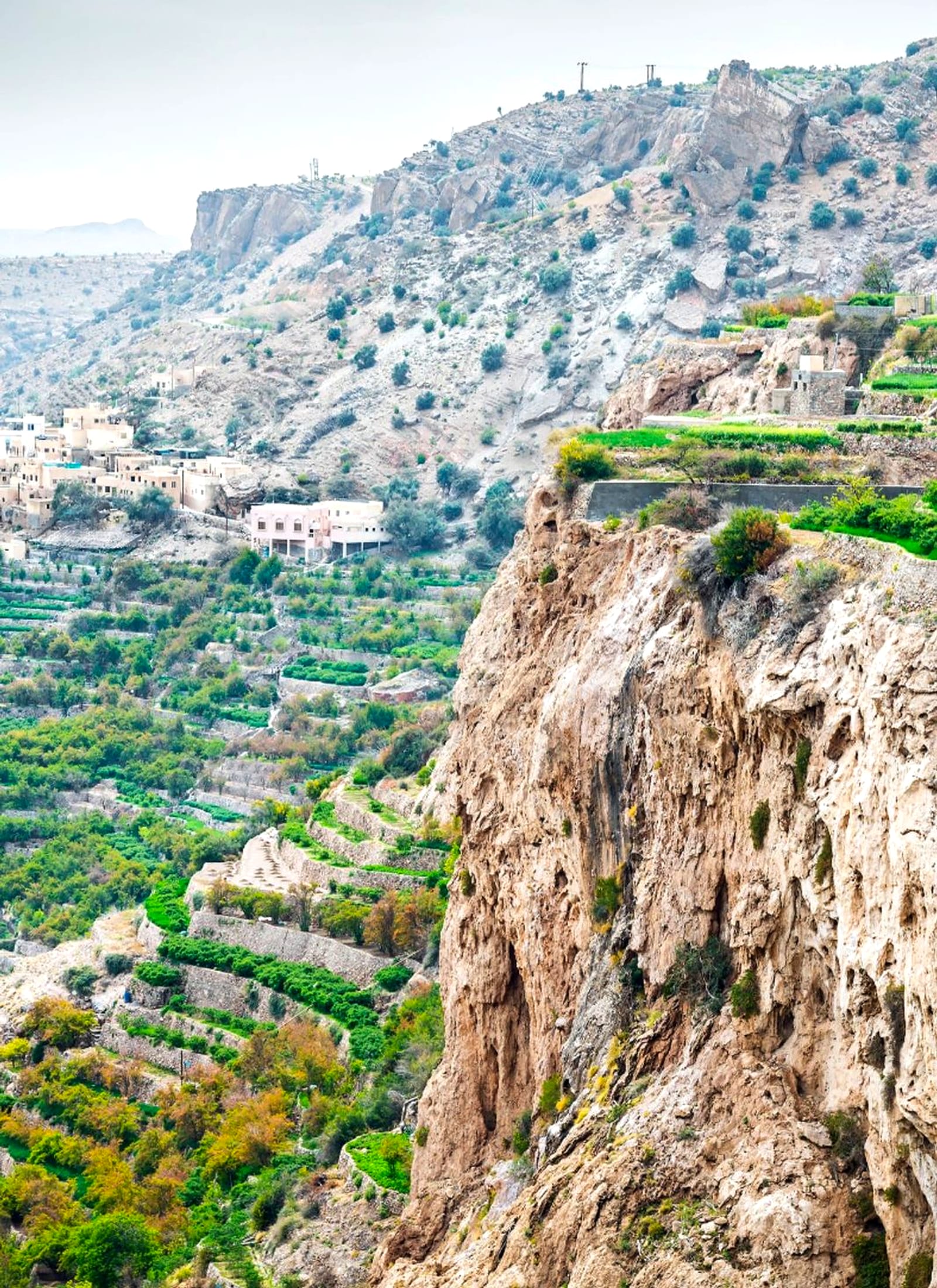 Green terraces descending a cliff face at Jebel Akhdar